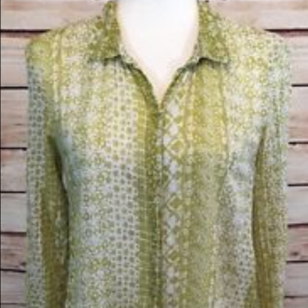 Anthropologie Heihei green button down